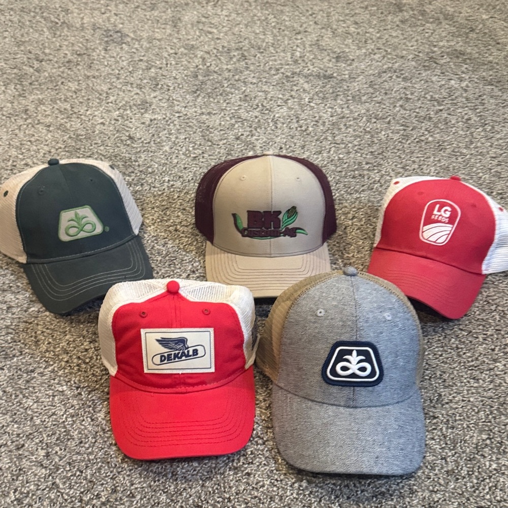 Assorted Logo Baseball Caps